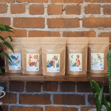 Pachamama World Tour - Set of five 4 oz bags of coffee from each of our farmer-owned cooperatives 