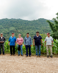 Decaf México - Organic Green Coffee Beans
